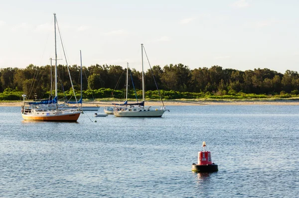 Hastings Nehri 'nde yelkenli tekneler - Macquarie Limanı, NSW, Avustralya
