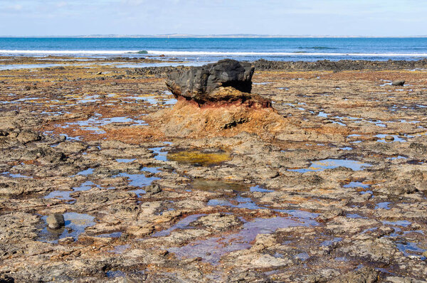 Volcanic black rock on Dodds Creak Beach - Flinders, Victoria, Australia