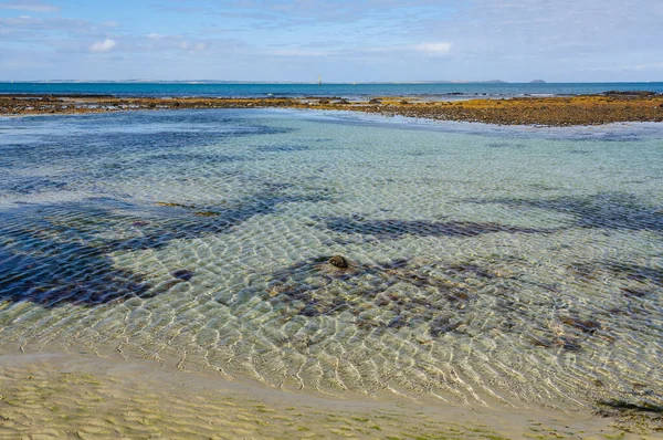 Low Tide Dodds Creek Beach Flinders Victoria Australia — Photo