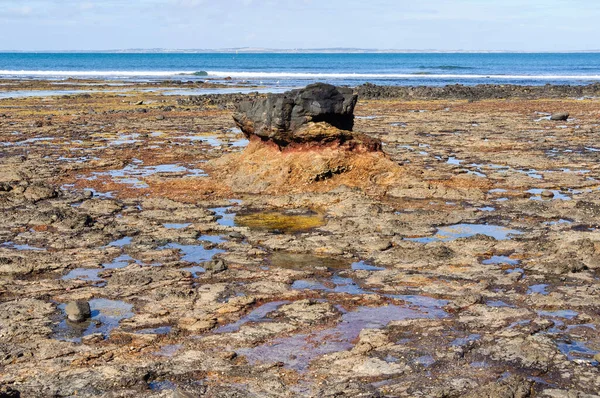 Volcanic Black Rock Dodds Creak Beach Flinders Victoria Australia Стокова Картинка