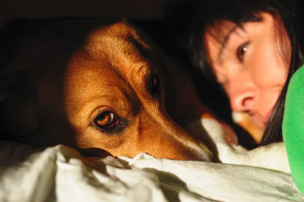 강아지와 여자 — 스톡 사진