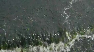 Deniz sümüğü, salya ya da deniz sümüğüne yakından bakın. Deniz yaşamını boğan ve su kirliliğine neden olabilecek organik bir madde. Adriyatik Denizi kıyısında.