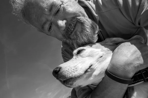 Reifer Mann Mit Bart Umarmt Seinen Alten Beagle Hund — Stockfoto