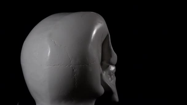 Human Skull Made Plaster Rotates Black Background — Stockvideo