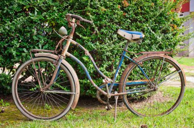 Eski, paslı, terk edilmiş bisiklet çalılığın yanında.