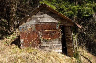 Eski ahşap kulübe, harap olmuş eski ve ormanda terk edilmiş.
