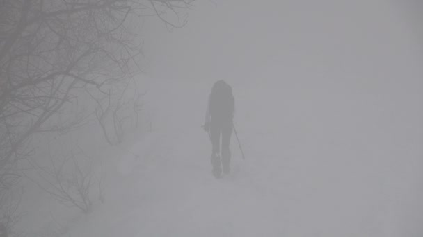 霧と風の中雪の山を歩く女は — ストック動画