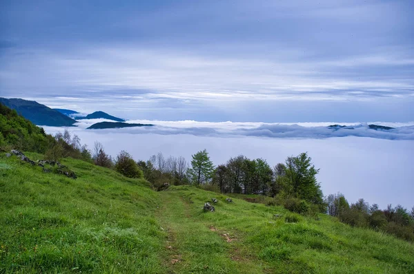 Mountain Path Surrounded Greenery Clouds — Fotografia de Stock