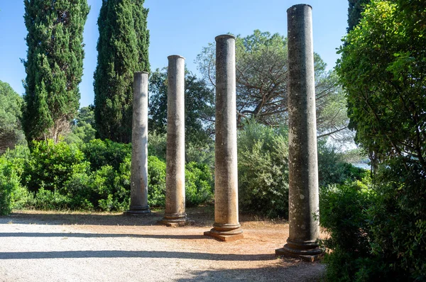 Ruinas Antiguas Columnas Rodeadas Naturaleza —  Fotos de Stock