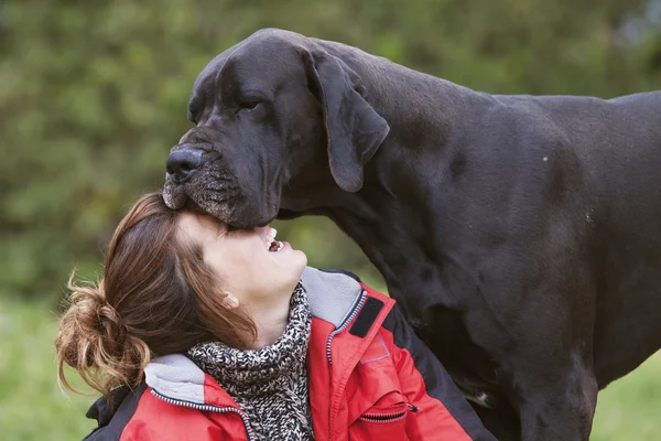 Meisje en great dane. — Stockfoto