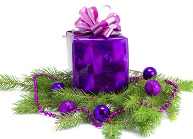 Yeni yıl hediyesi dal