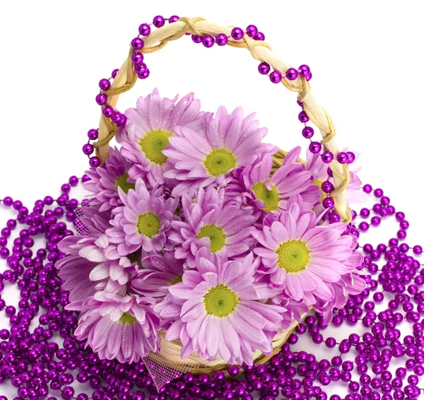 Oaklets in a basket on a beads — Stock Photo, Image