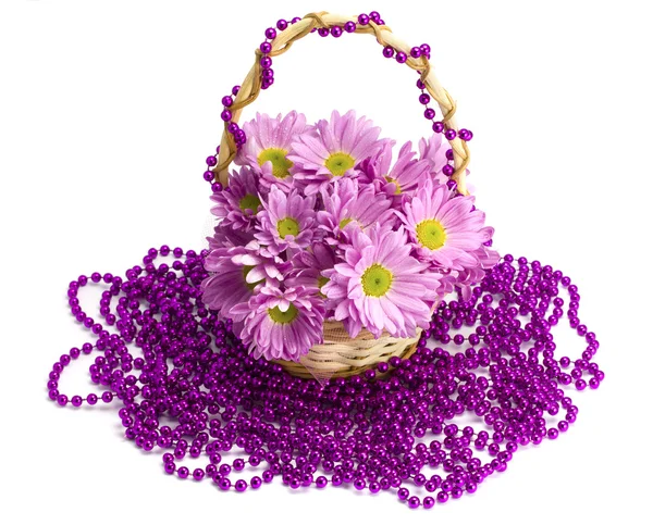 Oaklets in a basket on a beads — Stock Photo, Image