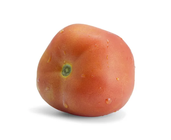 在白色背景上的湿的番茄 — 图库照片