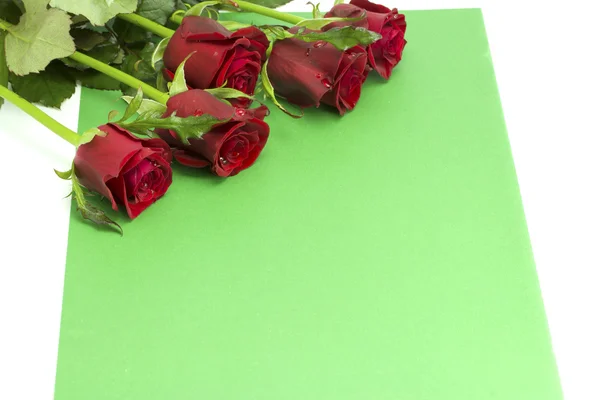 Buquê de rosas com orvalho em um envelope verde — Fotografia de Stock