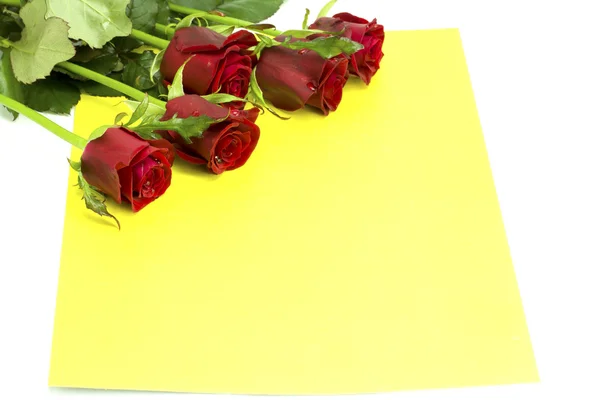 Boeket rozen met dauw op een gele envelop — Stockfoto