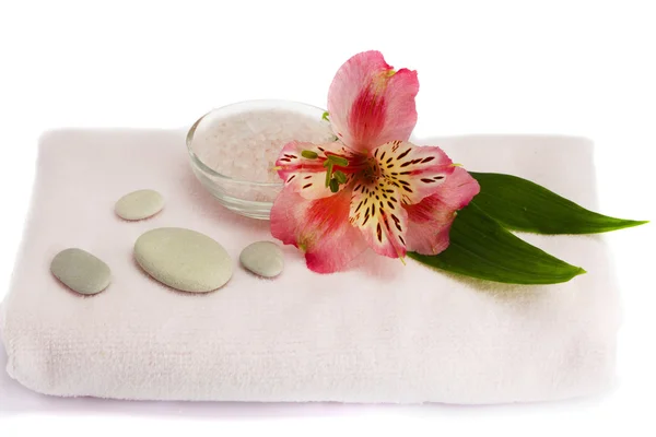 Spa accessories on a white background — Stock Photo, Image