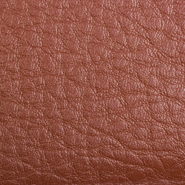 A textura da pele — Fotografia de Stock