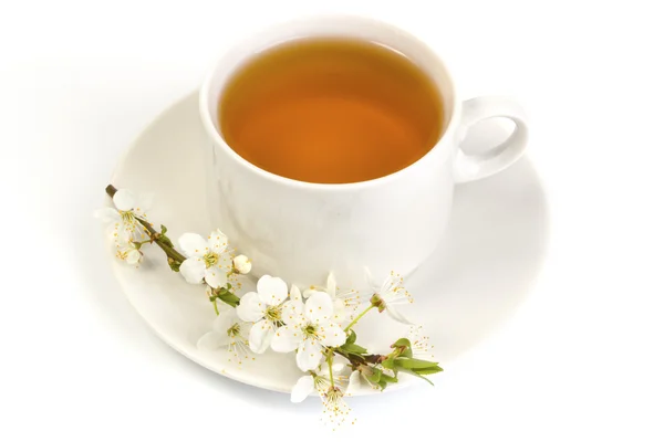 Cherry tea in a white mug — Stock Photo, Image