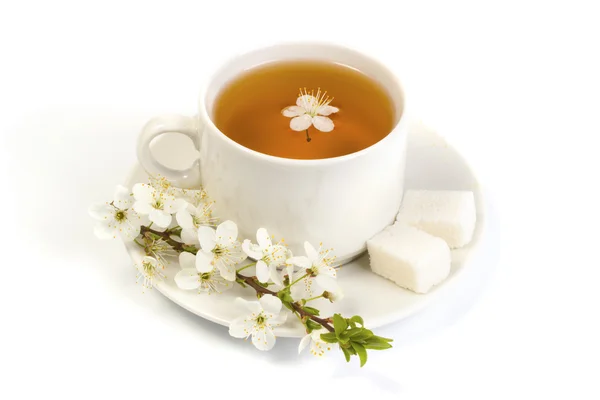 Cherry tea in a white mug — Stock Photo, Image