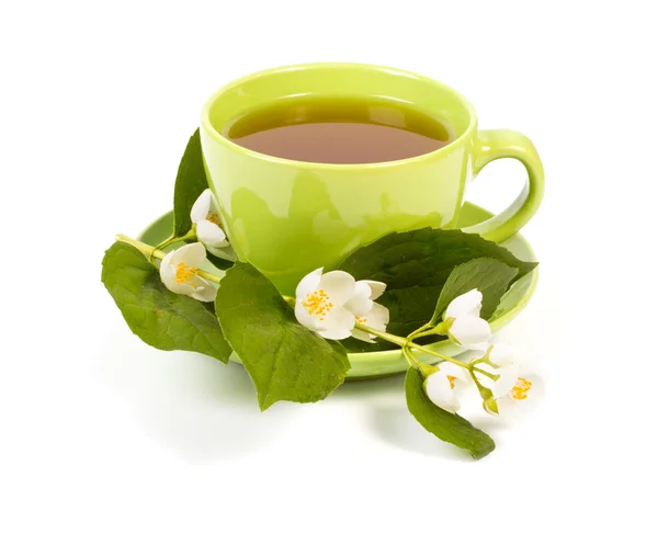 Tea of Jasmine — Stock Photo, Image