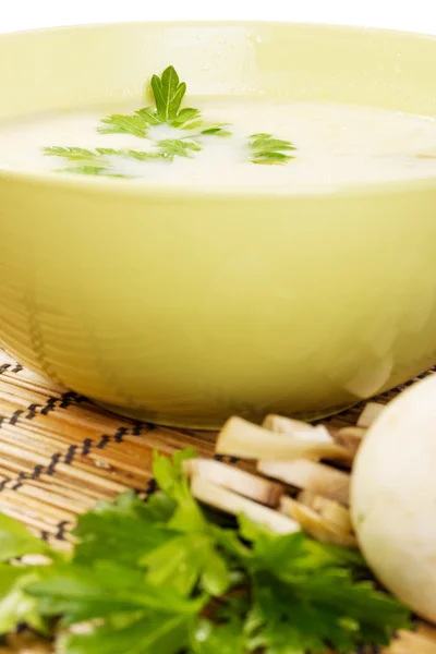 Mushroom ingredients soup — Stock Photo, Image