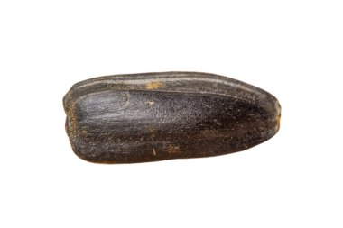 Makro ölçekte ayçiçeği tohumu