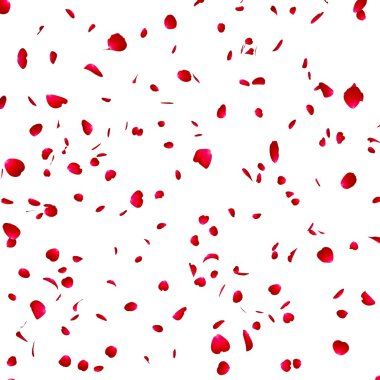 Petals of roses on the isolated background clipart