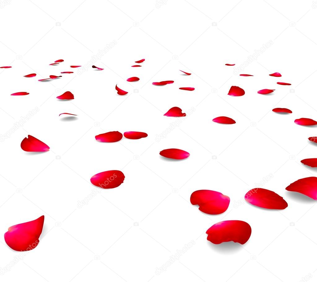 Petals of roses on a floor