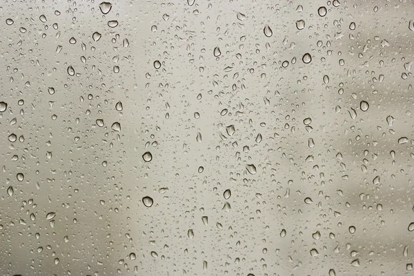 雨滴在一个窗口 — 图库照片
