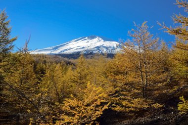 orman yolundan düşüş sırasında görülen mt fuji
