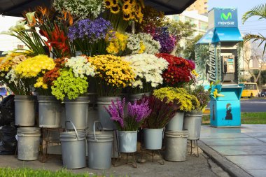 Flower stand miraflores, lima, peru