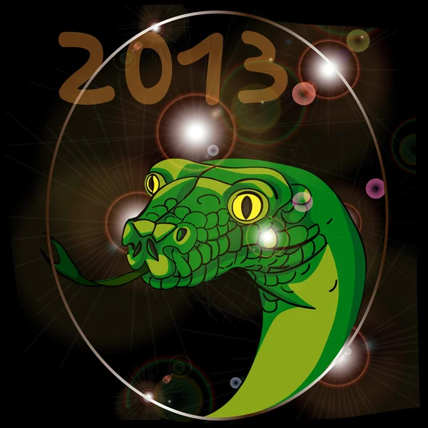 Jahr der Schlange 2013 — Stockfoto
