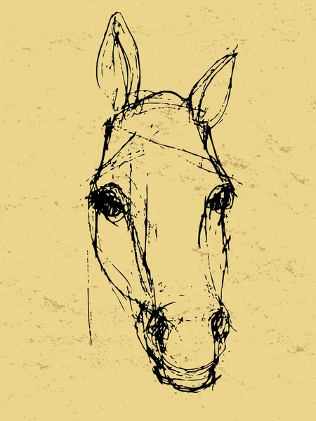 Croquis de cheval sur papier — Photo