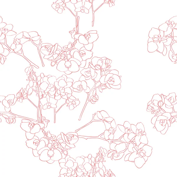 Orchideen-Muster — Stockfoto