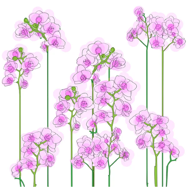 Fialové orchideje dlaždice — Stock fotografie
