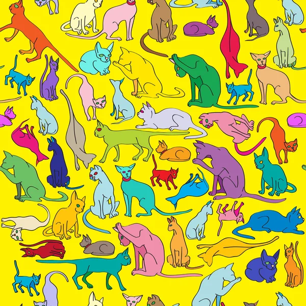 Colored cats pattern — Stock Photo, Image