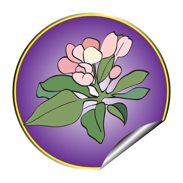 Manzana flor pegatina violeta —  Fotos de Stock
