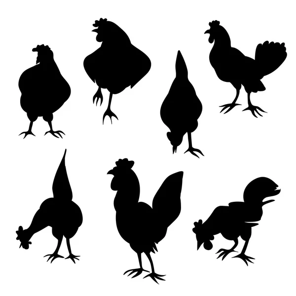 Silhuetas de galinha e galo — Fotografia de Stock