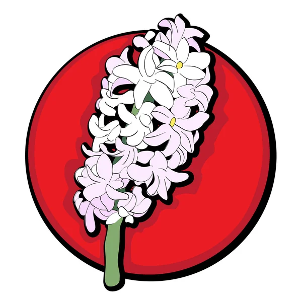 Hyacint illustraties rood — Stockfoto