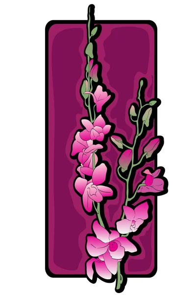 Lila hosszú orchideák ClipArt — Stock Fotó