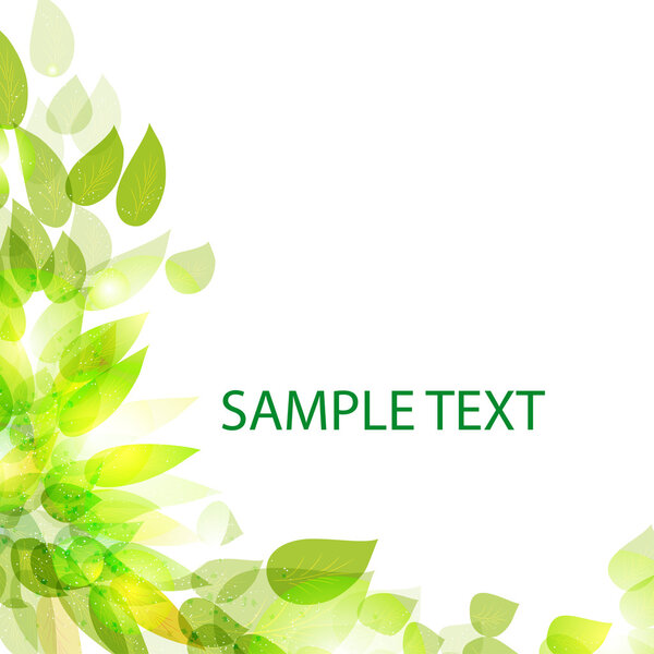 Красивая цветочная рамка для использования в вашем дизайне
