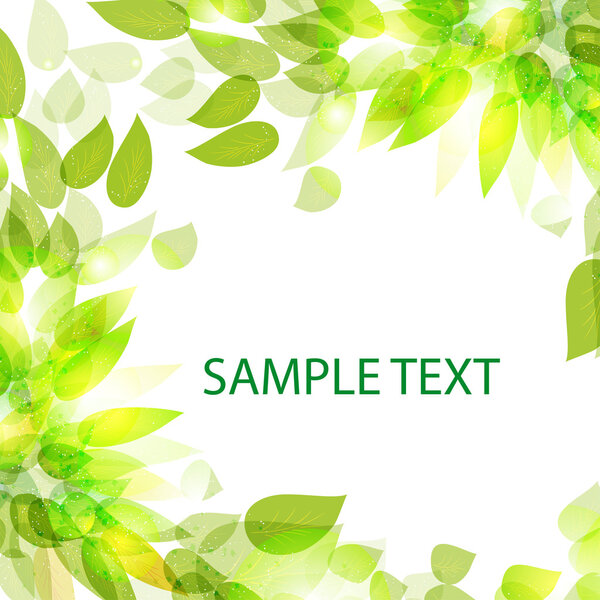 Красивая цветочная рамка для использования в вашем дизайне
