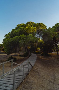 İspanya 'daki Donana Ulusal Parkı UNESCO Dünya Mirası Alanı