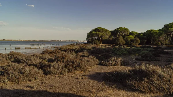 Donana National Park in Spain A UNESCO World Heritage Site — Zdjęcie stockowe