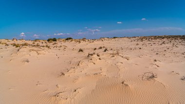 İspanya 'daki Donana Ulusal Parkı - UNESCO Dünya Mirası Alanı