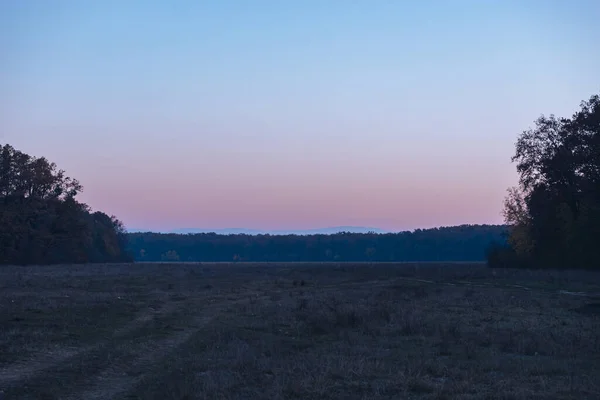 Gele Zonsopkomst Ochtend Bos Uitzicht Natuur — Stockfoto