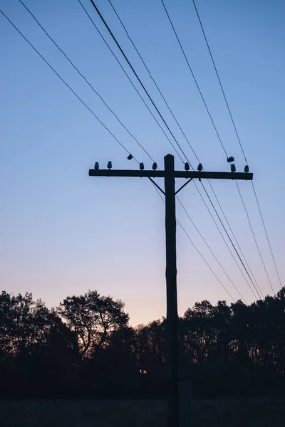 Nascer Sol Colorido Sobre Com Árvores Poste Elétrico — Fotografia de Stock