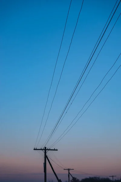 Барвистий Схід Сонця Над Деревами Електричним Стовпом — стокове фото
