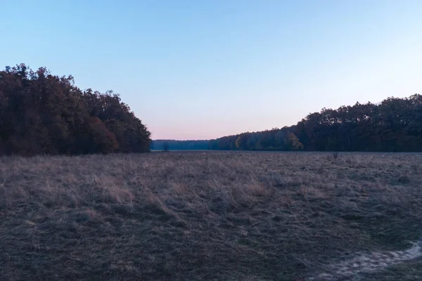 Gele Zonsopkomst Ochtend Bos Uitzicht Natuur — Stockfoto